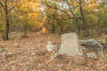 A tombstone and an angel without writing on it in the country.