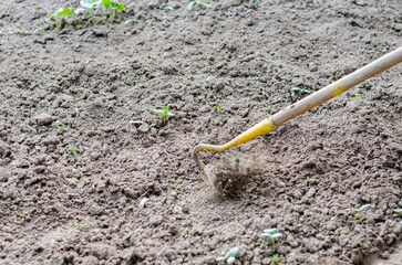 Working with a hoe and hands in the garden