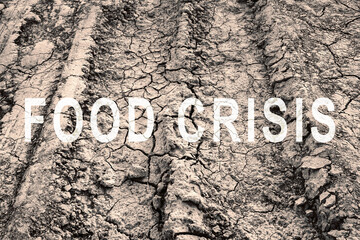Food crisis. World hunger. Failed grain crops. Bread shortage. Drought and crop failure. The global threat of hunger around the world. Dry land. Economic crisis.