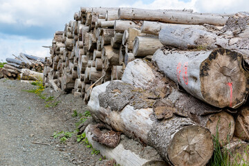 Beautiful view of stack of sawn spruce wood