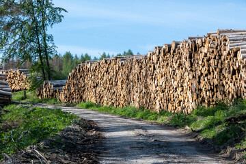 Beautiful view of stack of sawn spruce wood