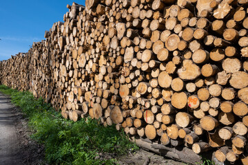 Beautiful view of stack of sawn spruce wood