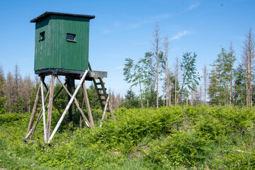 wooden ladder stand for hunting in the landscape