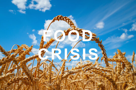 The Problem Of Food Insecurity In The World. Food Crisis And Crop Failure. Military Conflict Between Ukraine And Russia. The Threat Of Starvation To The Entire Planet. Economic Crisis.