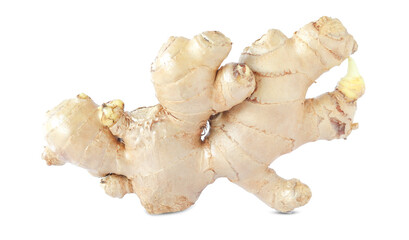 fresh ginger used as herbal medicine isolated on white background