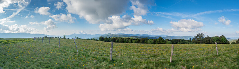 Meadow view in French Vosges moutains