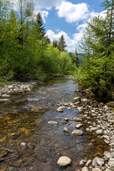 White Vistula just before the dam