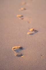 Footstep on the shore
