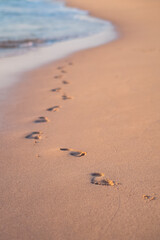 Footstep on the shore