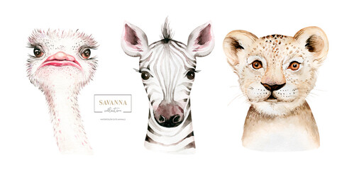 Africa watercolor savanna zebra, ostrich and lion animal. African Safari cute animals portrait character.Perfect for wallpaper print, poster, packaging ,invitation, wedding design - obrazy, fototapety, plakaty