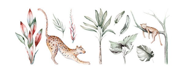 Tropical watercolor set birds hummingbird, monkey and jaguar, exotic jungle plants palm banana leaves flowers, flamingo pastel color seamless fabric background © kris_art