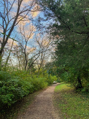 Path in the Park