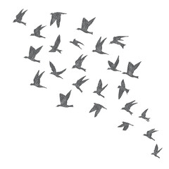 Fototapeta na wymiar Silhouette of city flying birds on white background. Inspirational body flash tattoo ink. Set of textured stipple grey birds fly swallows, hand made. Vector.