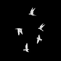 Isolated textured stipple silhouette of white birds flock in the black air Inspirational body flash tattoo ink. Vector.