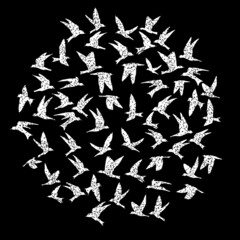 Isolated textured stipple silhouette of white birds flock in the black air Inspirational body flash tattoo ink. Vector.