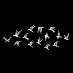 Hand drawn strokes birds, flock. Drawing sketch. On black background. Inspirational body flash tattoo ink.  Vector.