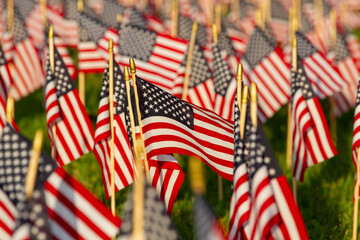 Field of Flags - American Stars and Stripes Everywhere