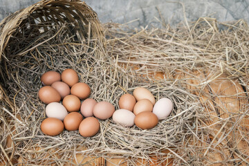 many organic eggs from hens that eat natural food on a straw with basket basketry on a wooden floor with background bare plaster or loft style.