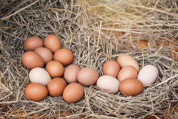 many organic eggs from hens that eat natural food on the straw with a wooden table background.