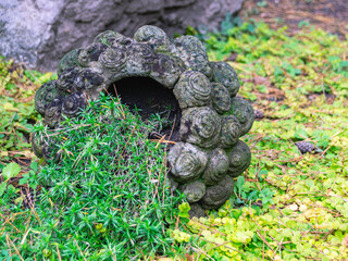 An ancient vase made of gray stone lies on the grass. Landscape design. A green plant grows from an old vase.