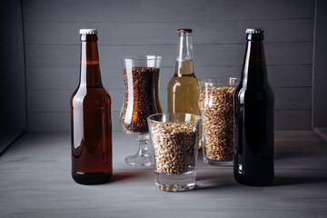 bottles with craft beer  and beer glasses with barley malt on a grey wooden background.  Ale or lager from pilsner malt.  homemade home-brewed beer. - obrazy, fototapety, plakaty