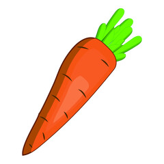 vegetables vector illustration