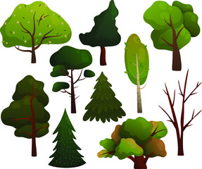 Set with different trees. Tree without leaves, tree with flowers, fir trees, oak, pine, birch