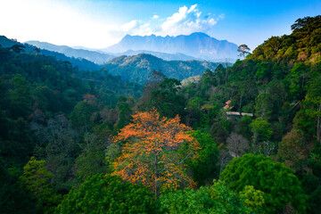Fototapeta na wymiar Thailand colorful Chiang Dao mountains
