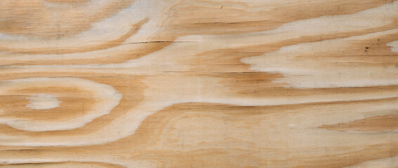 wooden panoramic texture with natural details used as a background