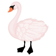 Adorable white swan standing isolated on white background. Cartoon swan vector illustration.