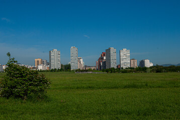 Fototapeta premium SALBURUA PARK IN VITORIA-GASTEIZ, BASQUE COUNTRY, SPAIN