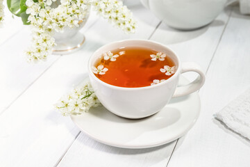 Useful spring tea with bird cherry in a white cup on a light background