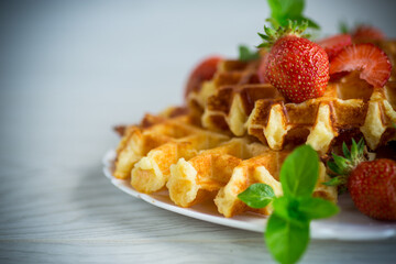Sweet curd cooked waffles with fresh ripe strawberries
