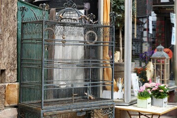 Altertümlicher großer Vogelkäfig vor Blumengeschäft in Stadt 