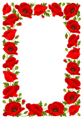 Rectangle frame with red poppy flowers, leaves and poppy seed pods on a white background. Vector illustration