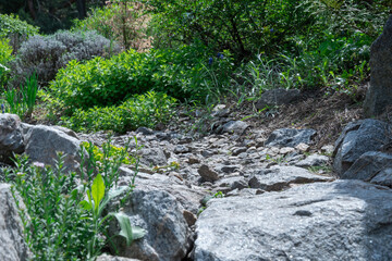 Application natural stone in landscape design. Stone path in garden with bushes trees flowers. Beautiful manicured green plants in gardening. View exterior scenery in public park. Example designers.