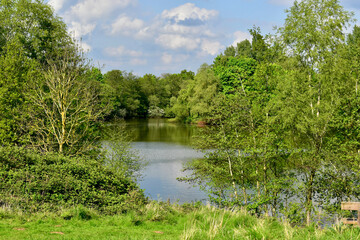View on the lake surrounded by trees in Ryton Pools County Park, Coventry, West Midlands, England, UK