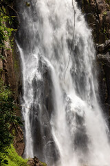 Waterfalls and beautiful nature in the forest on Khao Yai National Park in Thailand.