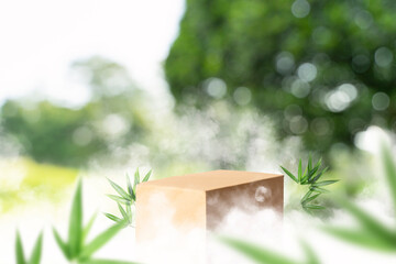 Carton box podium with smoke nature background