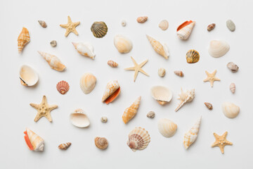 Summer time concept Flat lay composition with beautiful starfish and sea shells on colored table, top view