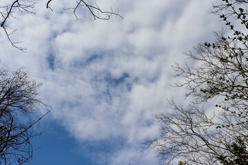 The white clouds in the blue sky.