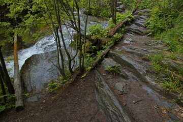 Hiking trail at the river Bila Opava in Jeseniky, Czech Republic, Europe, Central Europe
