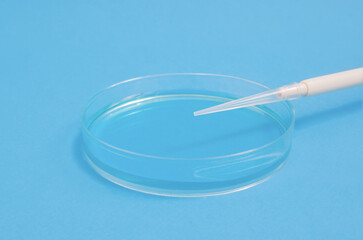 Petri dish with buffer solution on blue background