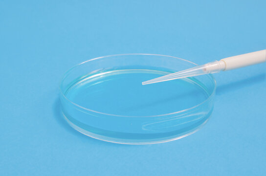 Petri Dish With Buffer Solution On Blue Background