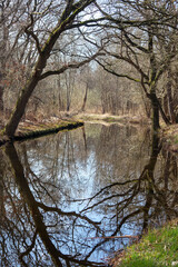 Fototapeta na wymiar Ankeveense Plassen - Nature reserve in the Netherlands