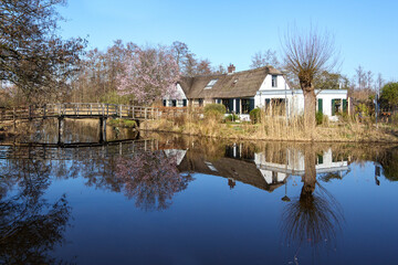 Ankeveense Plassen - Nature reserve in the Netherlands