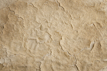 Texture of wet cracked sand