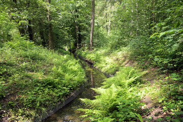 jungfernheide