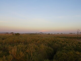 sunrise bringing out the natural beauty and colors of the african landscape