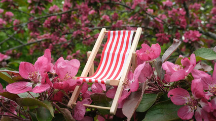 Beach chair and pink flowers.